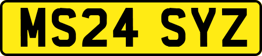 MS24SYZ