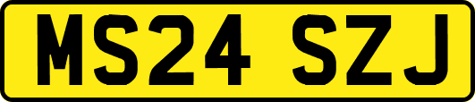 MS24SZJ