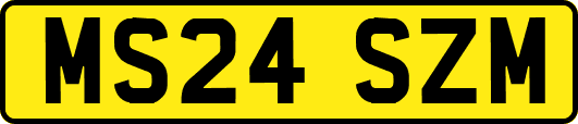 MS24SZM