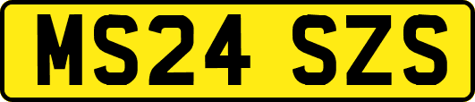MS24SZS