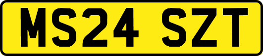 MS24SZT