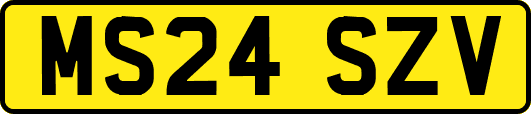 MS24SZV