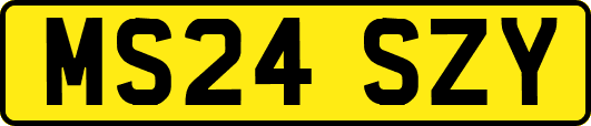 MS24SZY