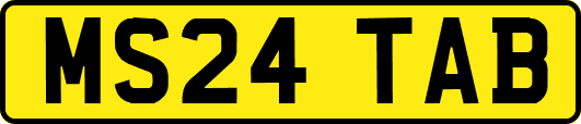 MS24TAB