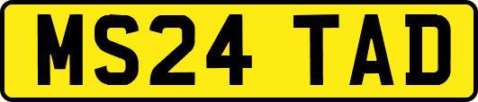 MS24TAD