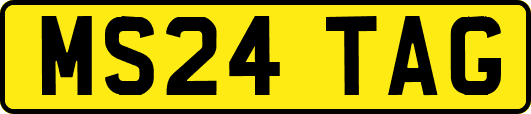 MS24TAG