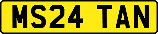 MS24TAN