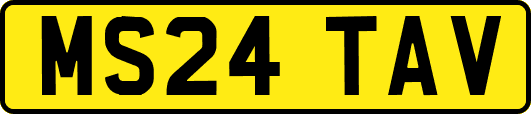 MS24TAV