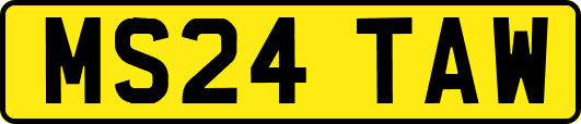 MS24TAW