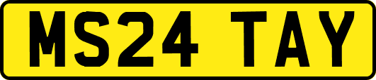 MS24TAY
