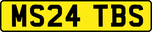 MS24TBS