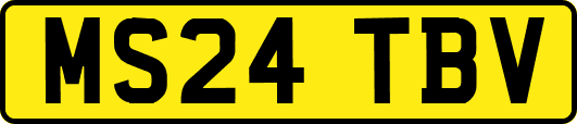 MS24TBV