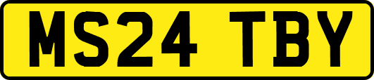 MS24TBY