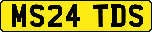 MS24TDS
