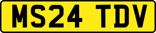 MS24TDV
