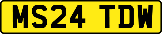 MS24TDW