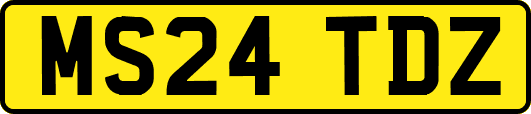 MS24TDZ
