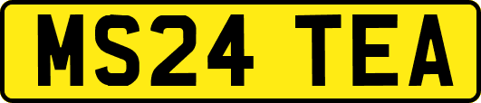 MS24TEA