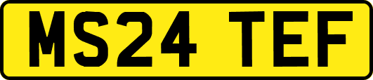 MS24TEF