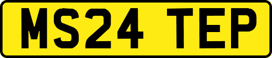 MS24TEP