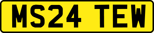 MS24TEW