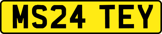 MS24TEY