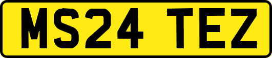 MS24TEZ