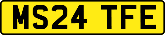 MS24TFE