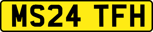 MS24TFH