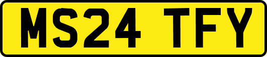 MS24TFY