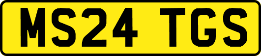 MS24TGS