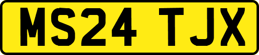MS24TJX