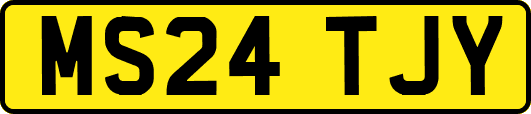 MS24TJY