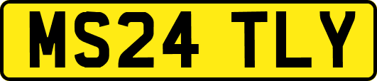 MS24TLY