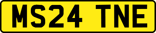 MS24TNE