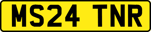 MS24TNR