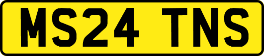 MS24TNS
