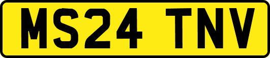 MS24TNV