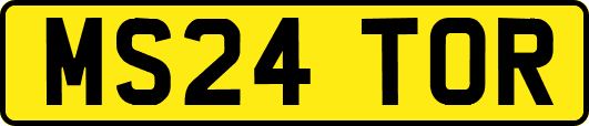 MS24TOR