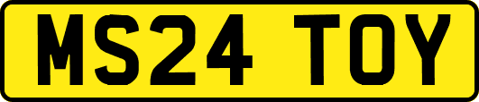 MS24TOY