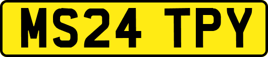 MS24TPY