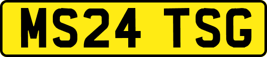 MS24TSG