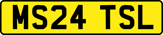 MS24TSL