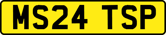 MS24TSP