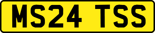 MS24TSS