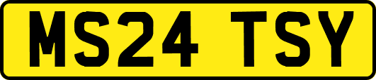 MS24TSY