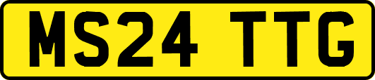 MS24TTG