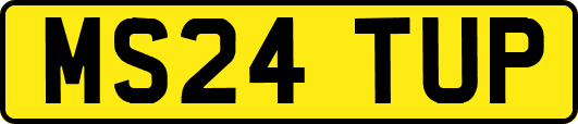 MS24TUP