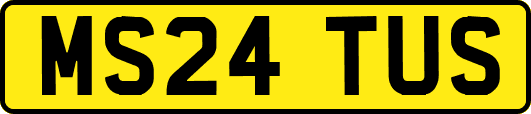 MS24TUS