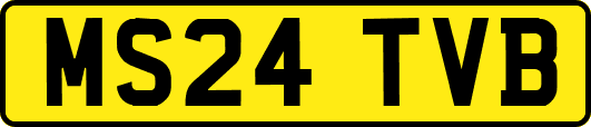 MS24TVB